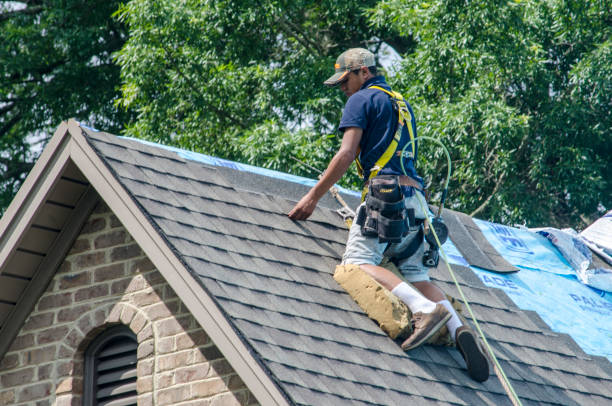 Best Gutter Installation and Roofing  in Brambleton, VA